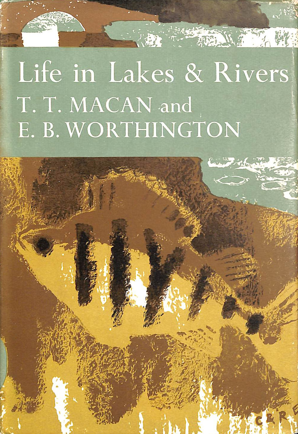 Life in Lakes and Rivers