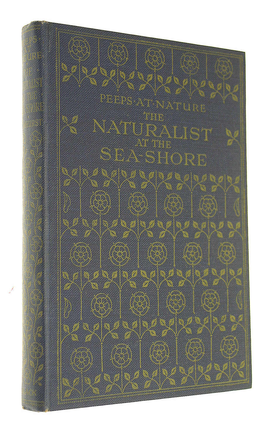 The Naturalist at the Sea-shore