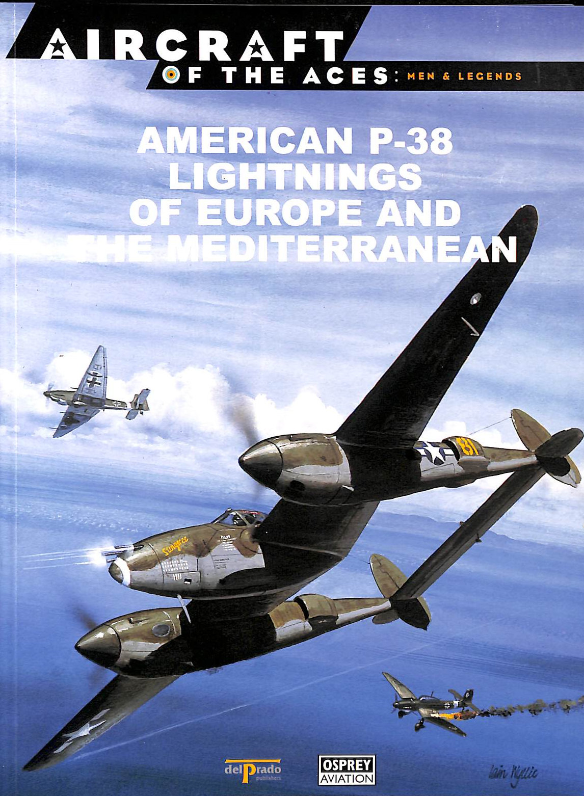American P-38 Lightnings Of Europe and the Mediterranean