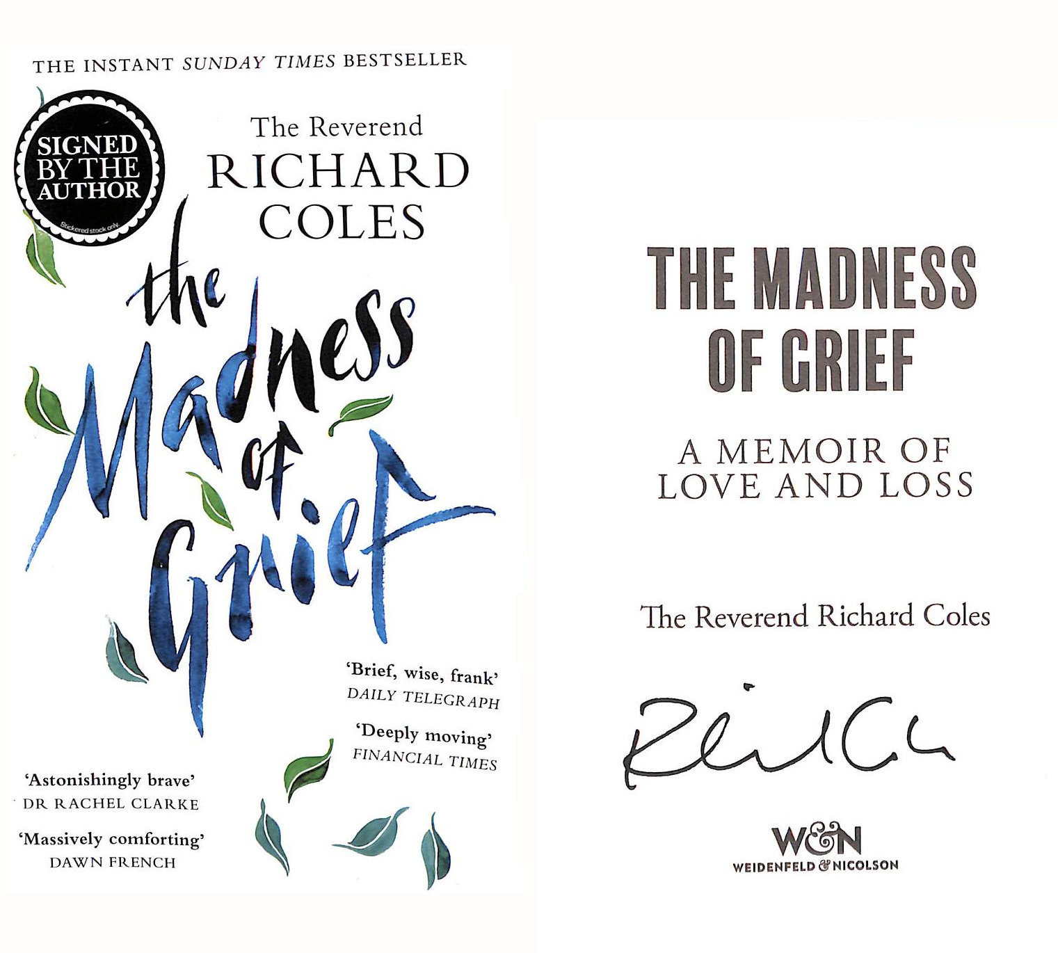 The Madness of Grief: A Memoir of Love and Loss