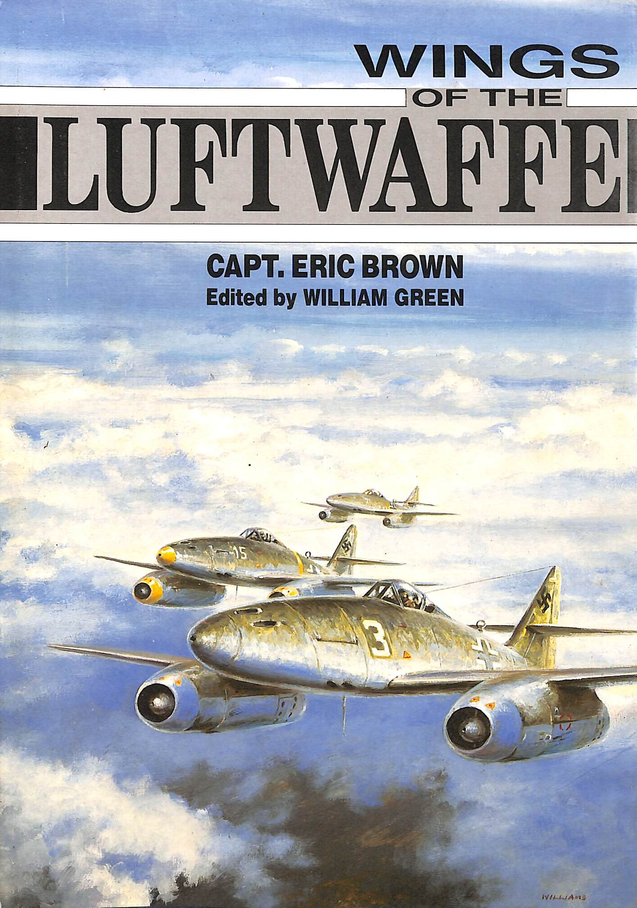 Wings of the Luftwaffe
