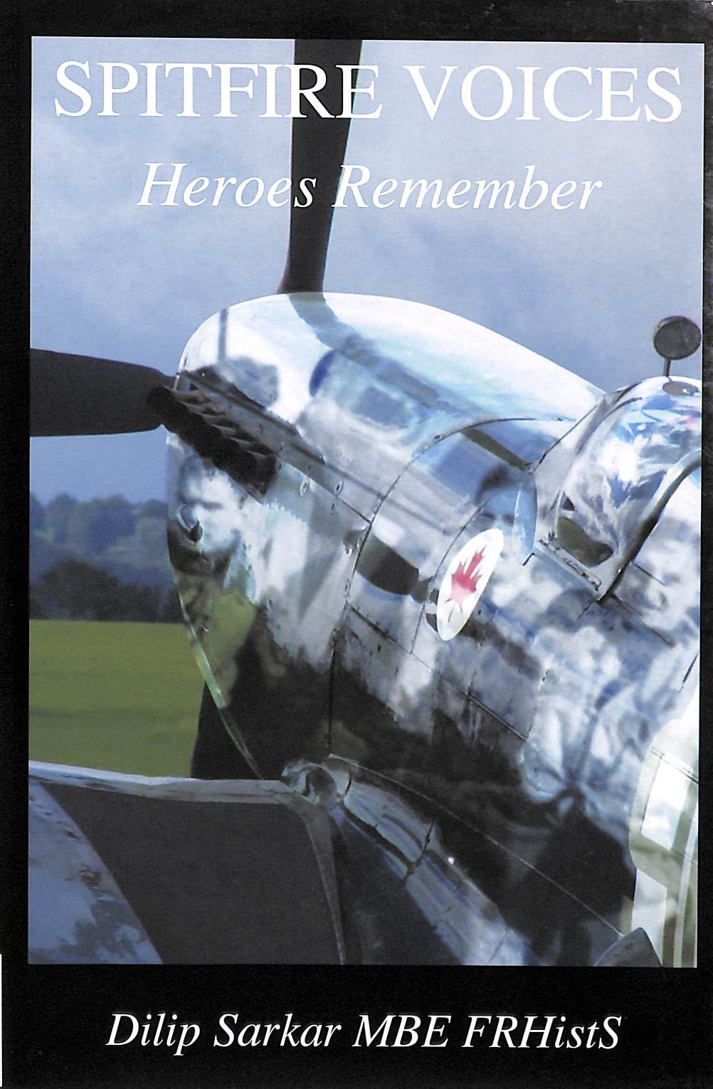 Spitfire Voices: Heroes Remember
