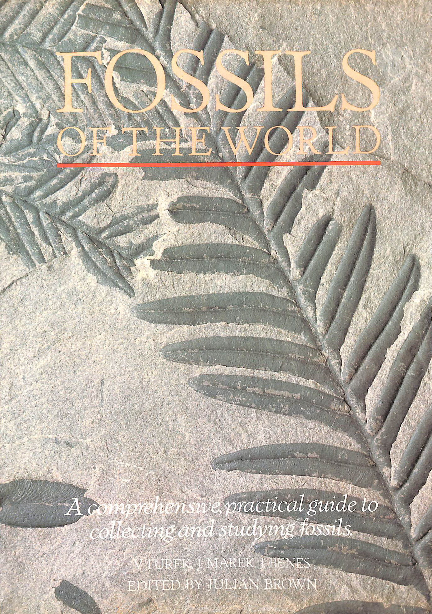 Fossils of the World