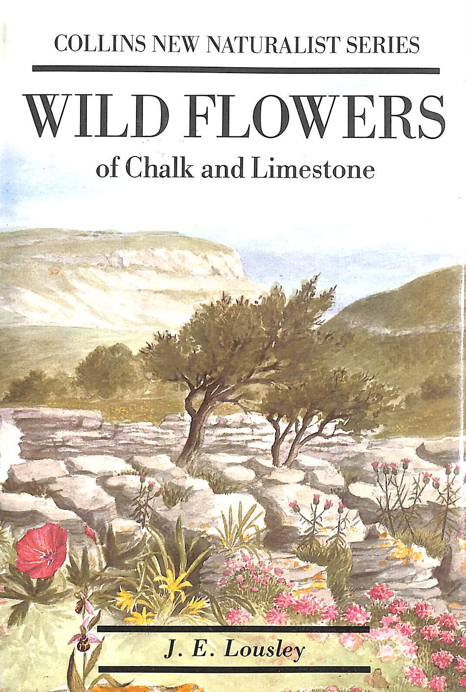 Wild Flowers of Chalk & Limestone