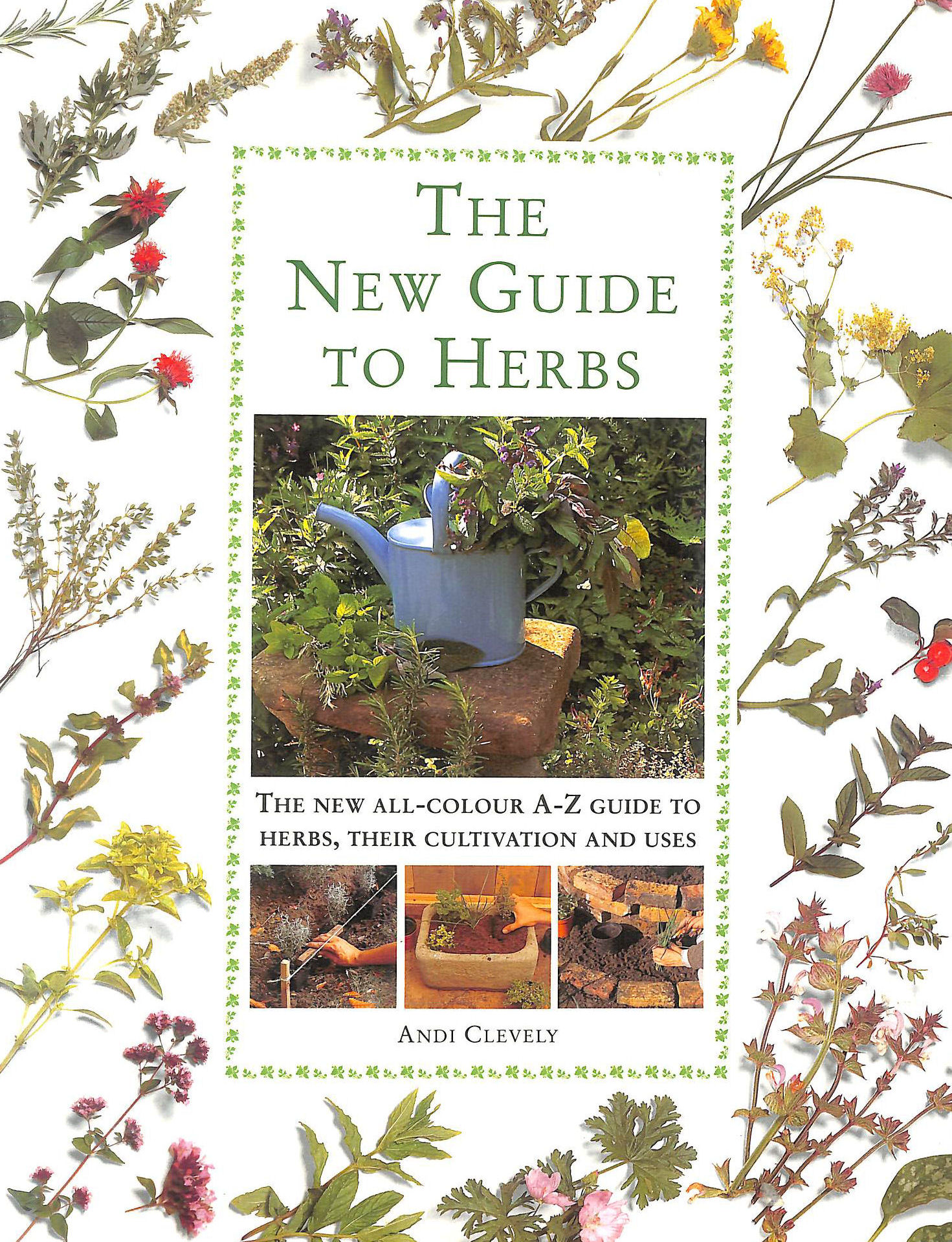 The New Guide to Herbs