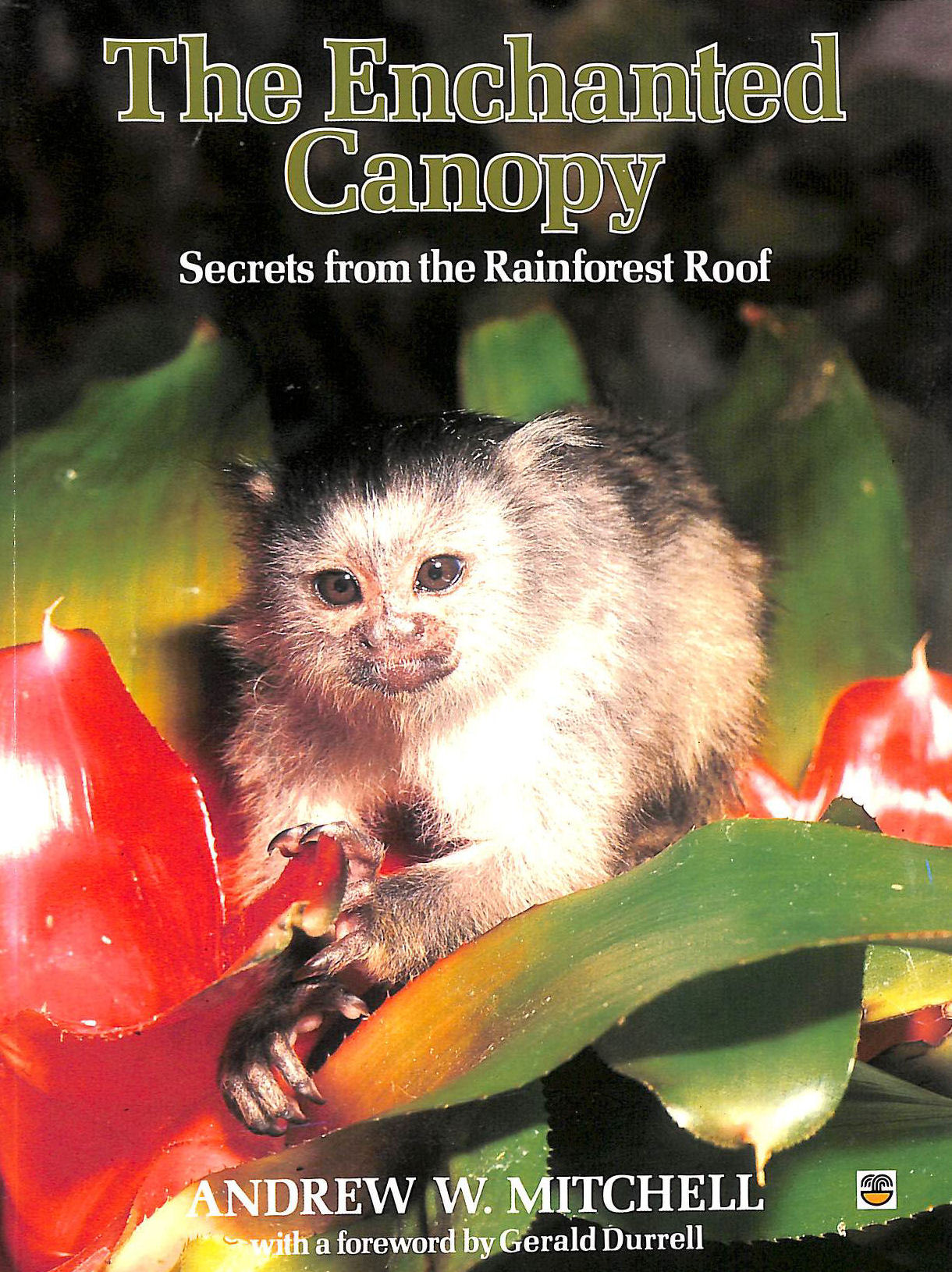 The Enchanted Canopy: Secrets from the Rain Forest Roof
