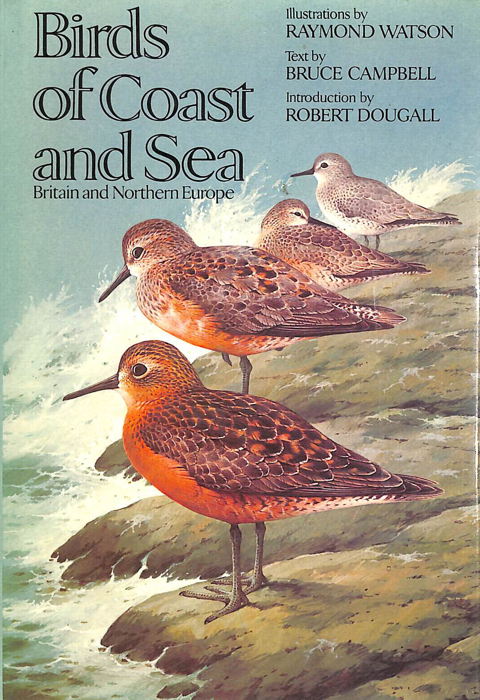 Birds of Coast and Sea: Britain and Northern Europe