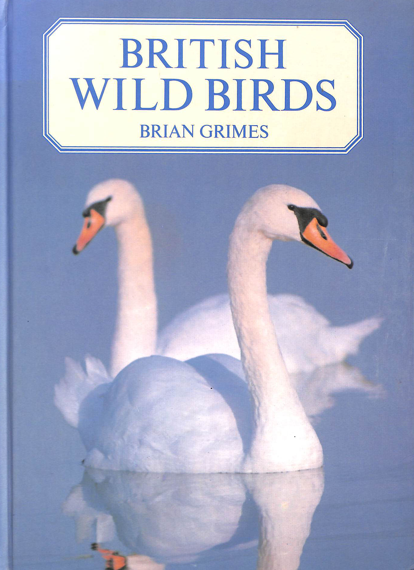 British Wild Birds