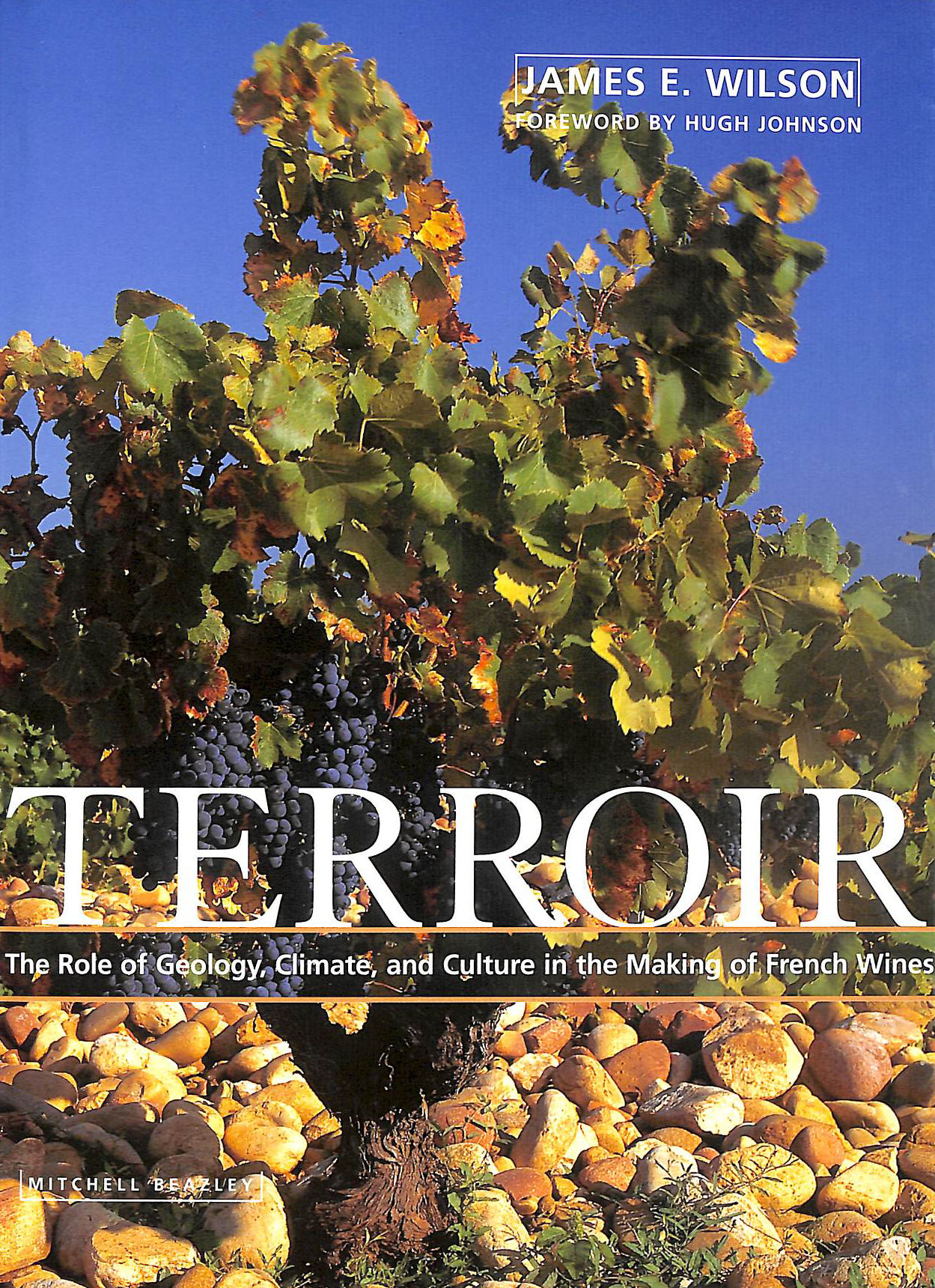 Terroir