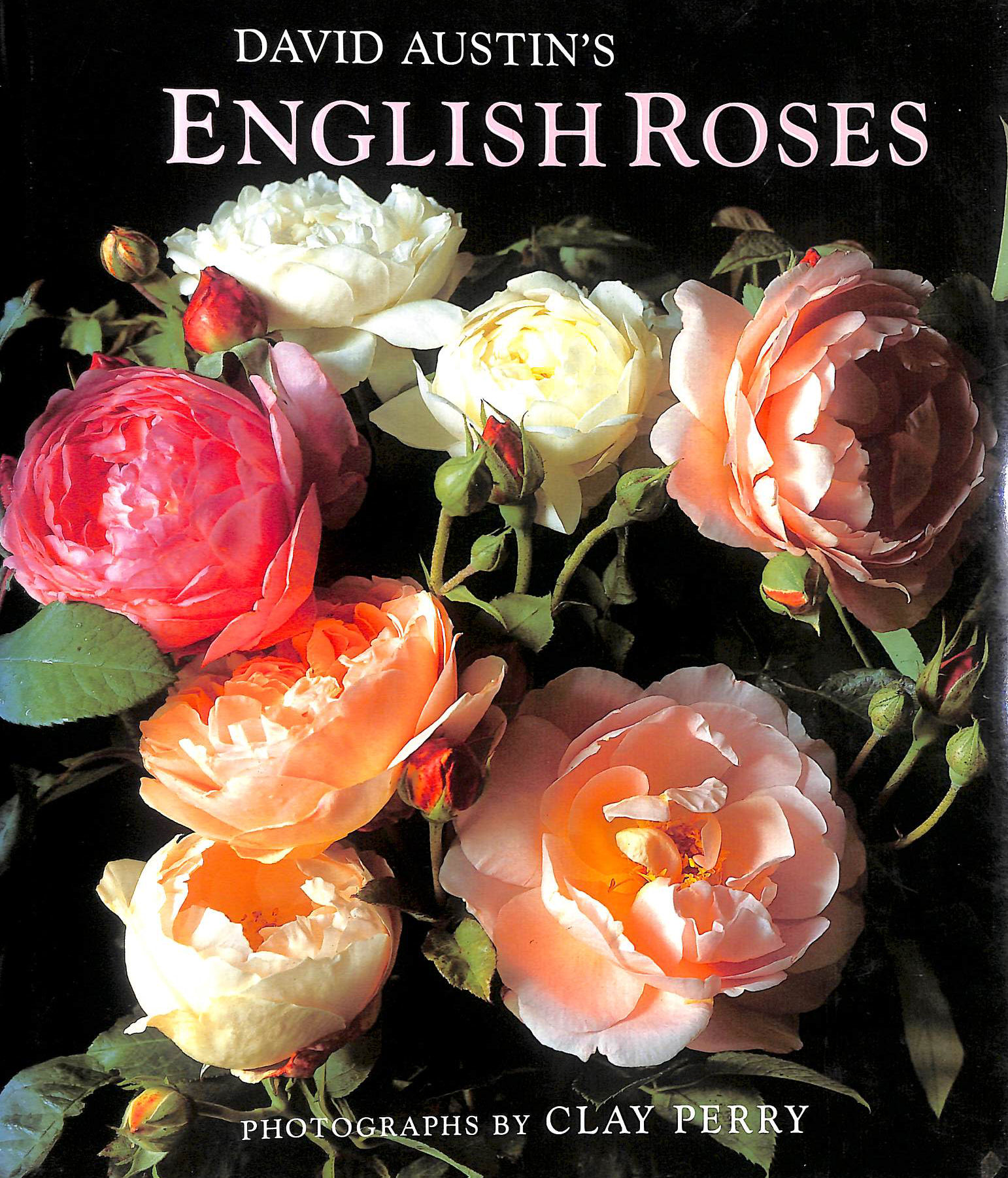David Austin's English Roses