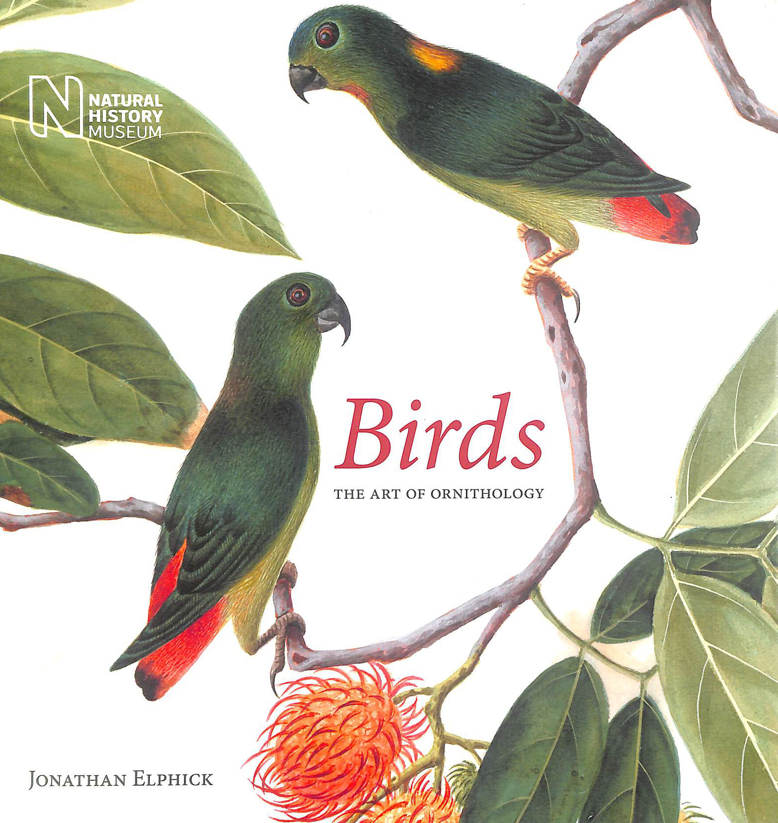 Birds: The Art of Ornithology