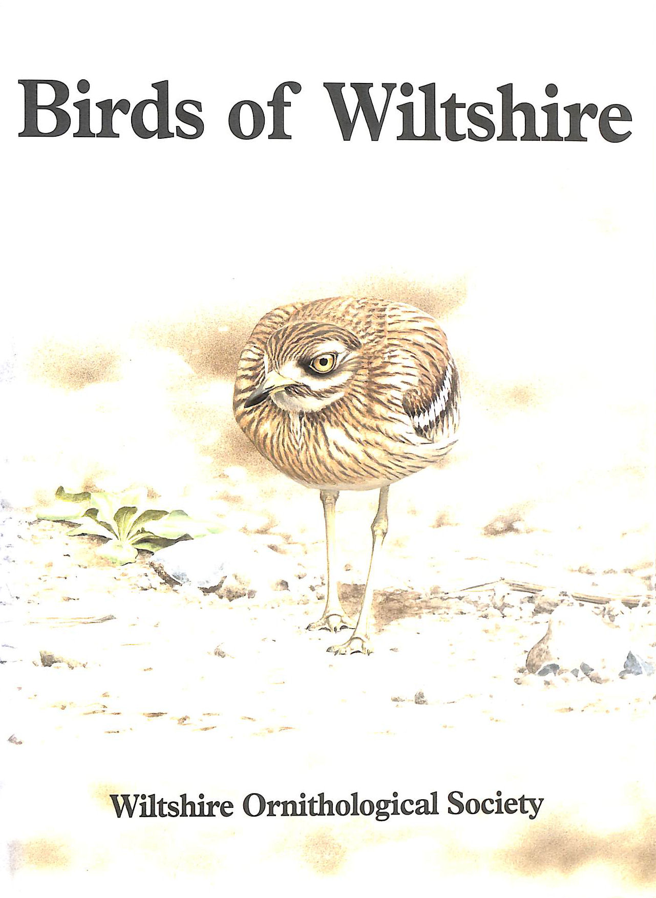 Birds of Wiltshire