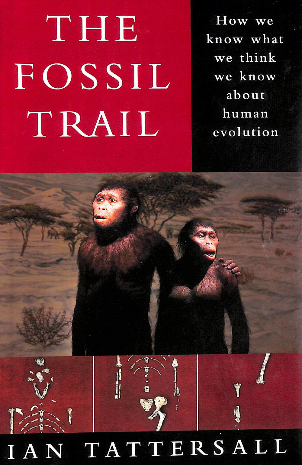 The Fossil Trail