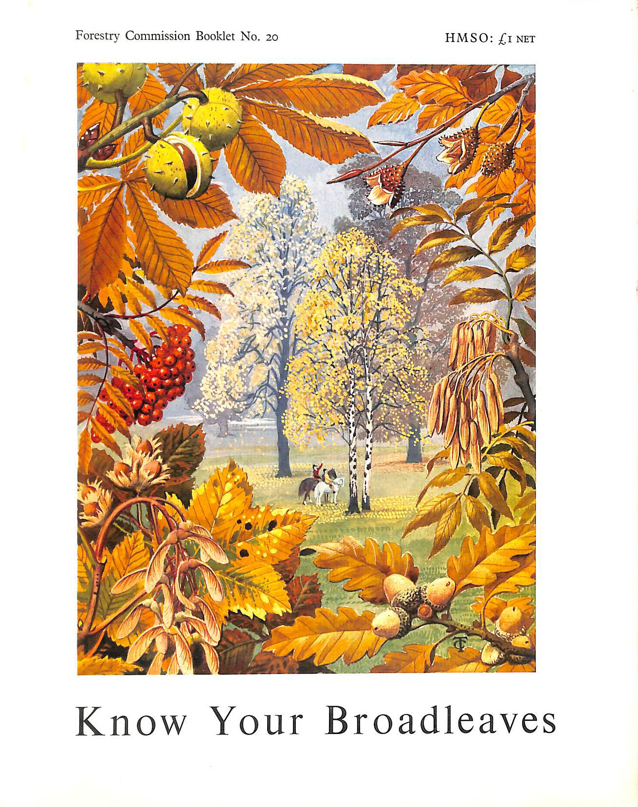 Know Your Broadleaves