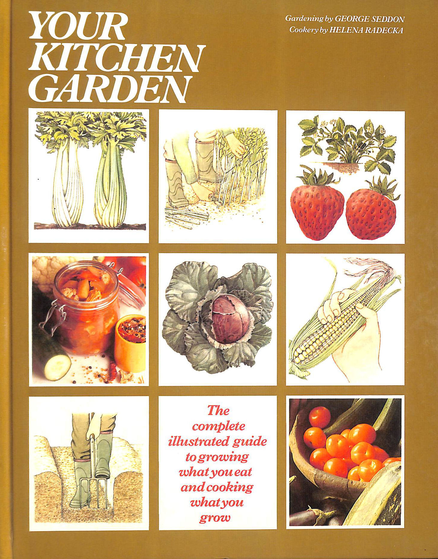 Your Kitchen Garden