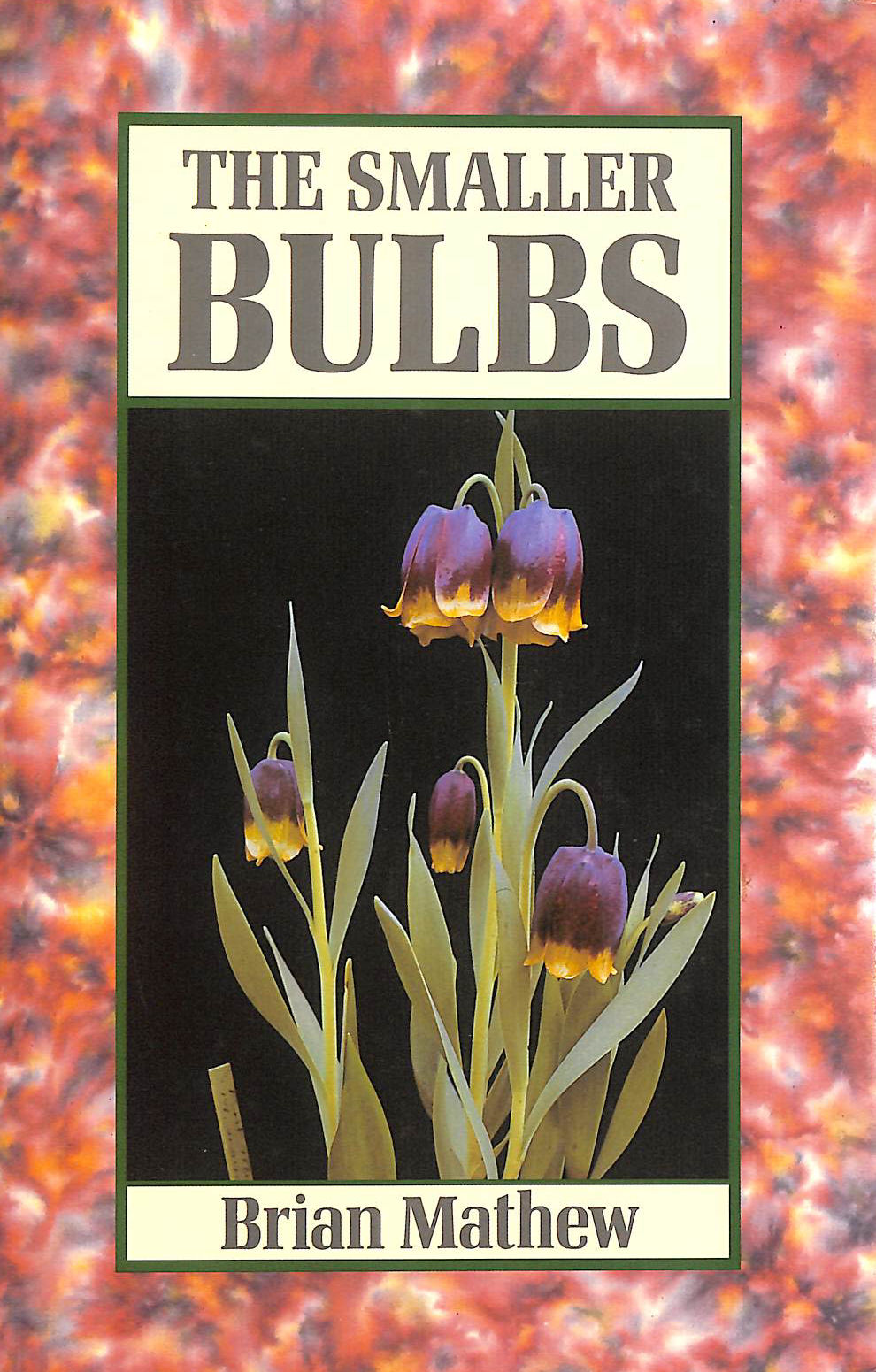 The Smaller Bulbs