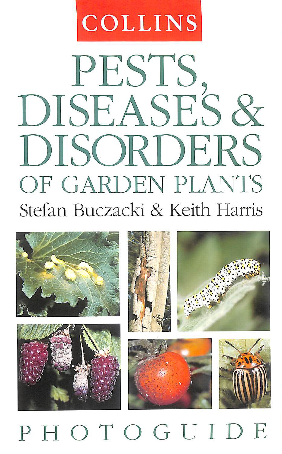 Pests, Diseases and Disorders of Garden Plants