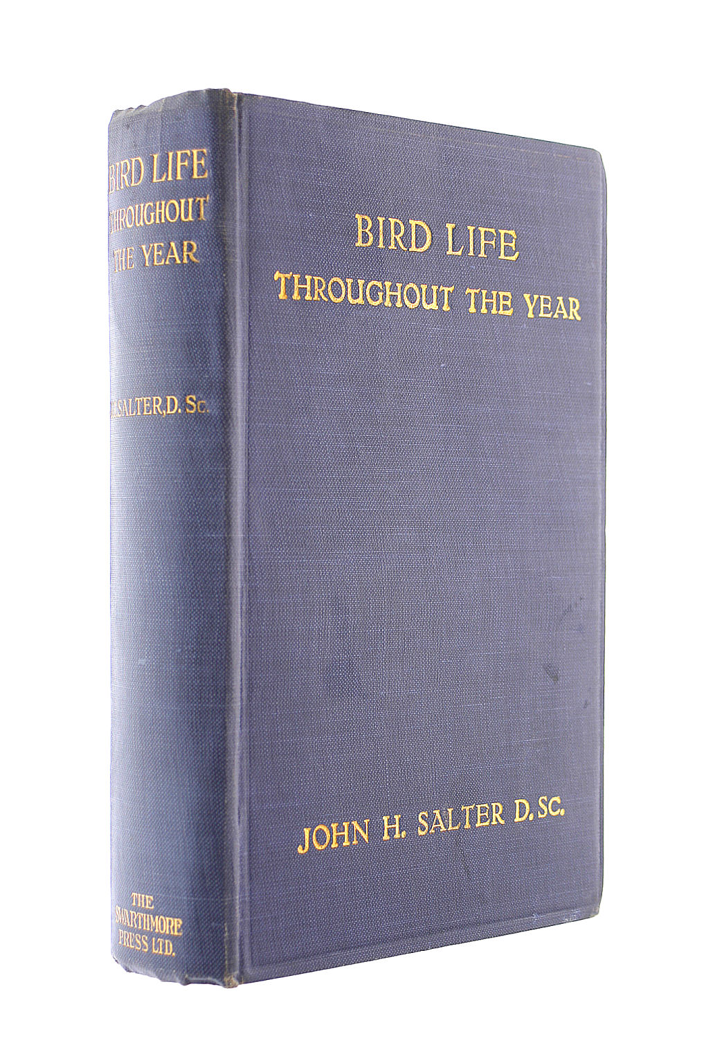 Bird Life Throughout The Year