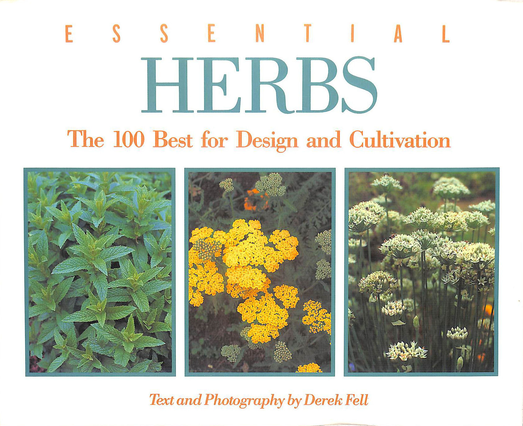 Essential Herbs