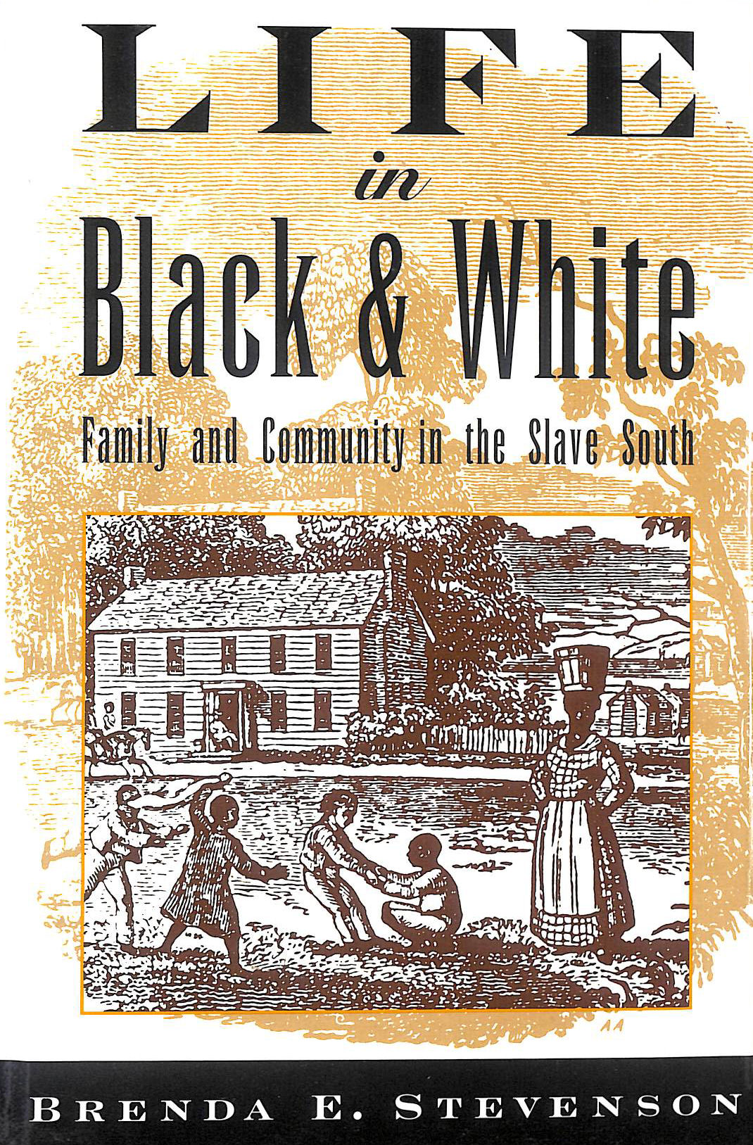 Life in Black and White: Family and Community in the Slave South
