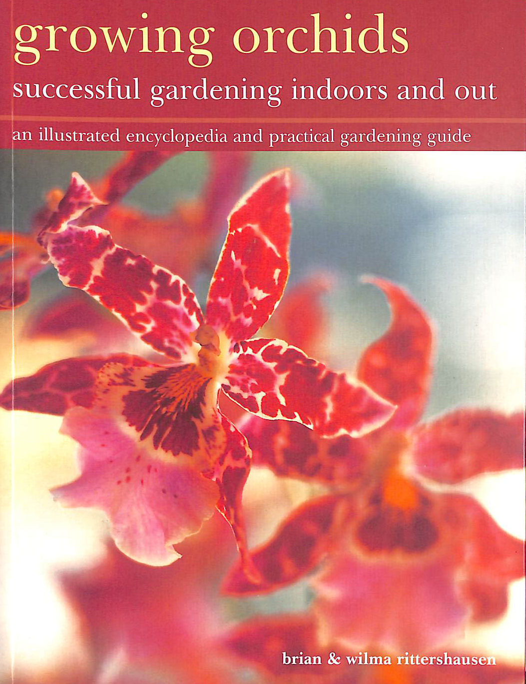 Growing Orchids