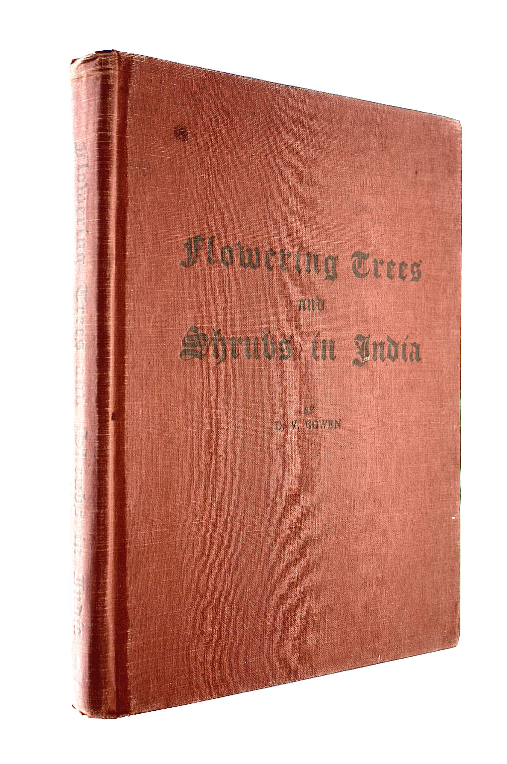 Flowering Trees And Shrubs In India