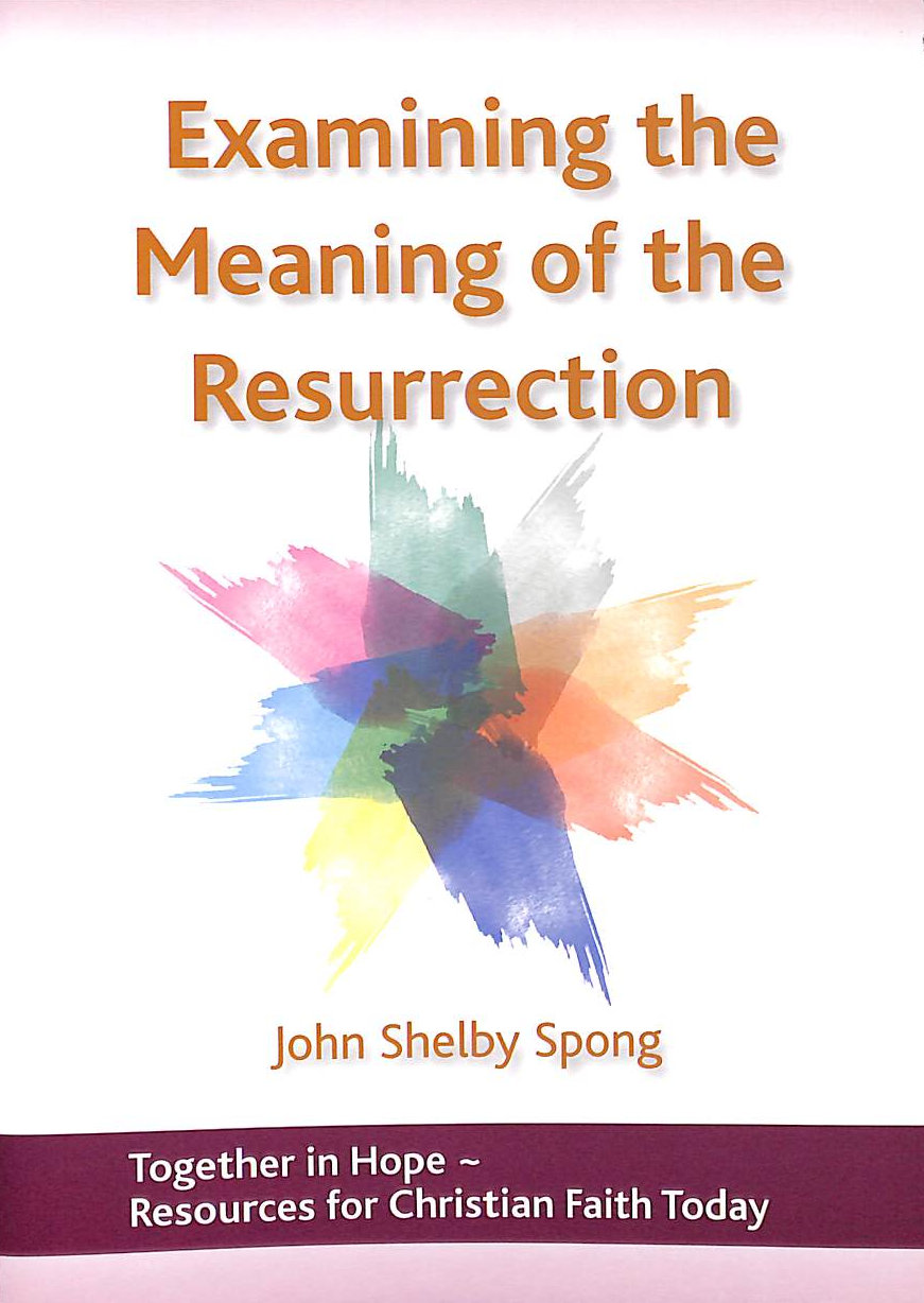 Examining the Meaning of the Resurrection: v. 4 (Together in Hope)