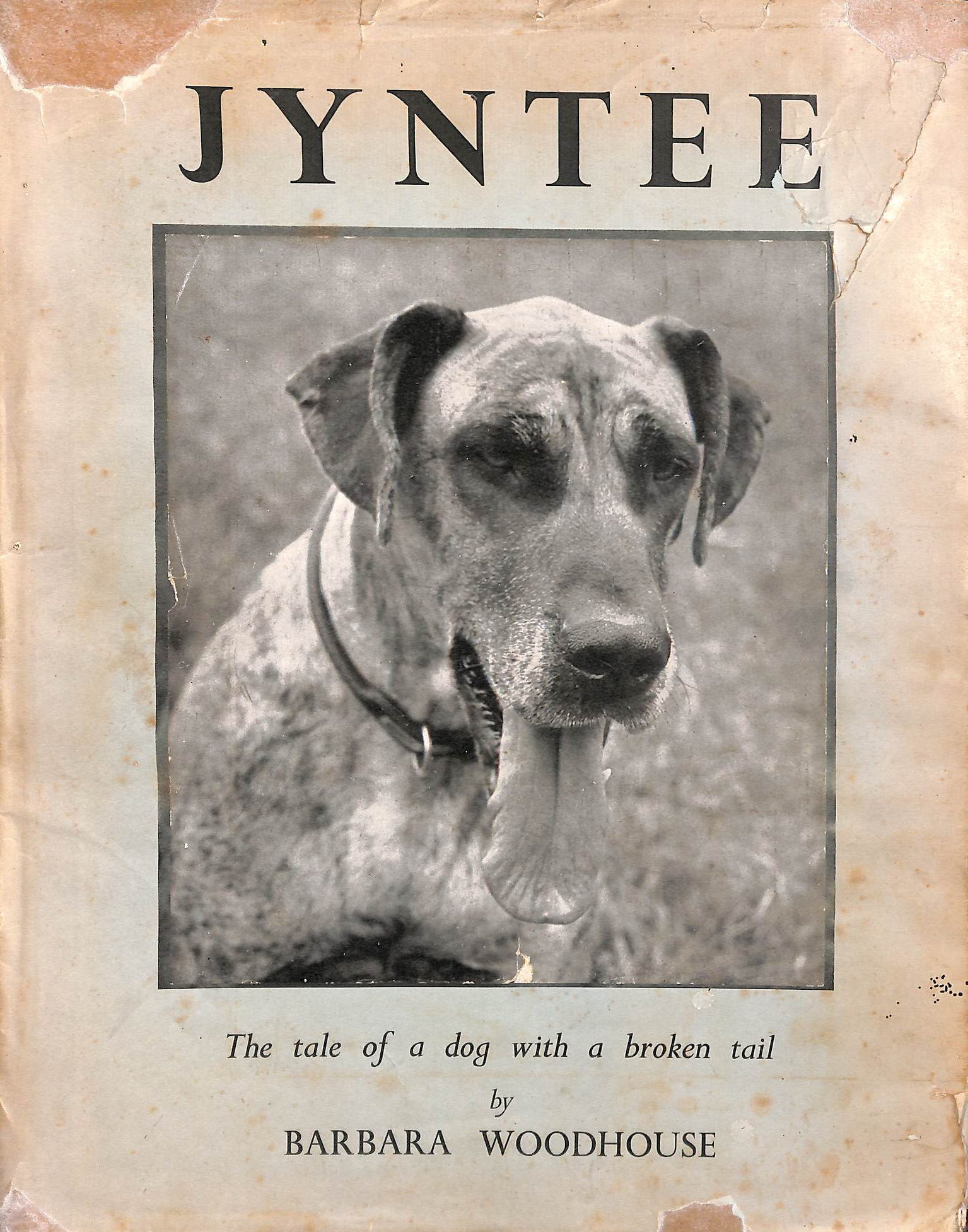 Jyntee