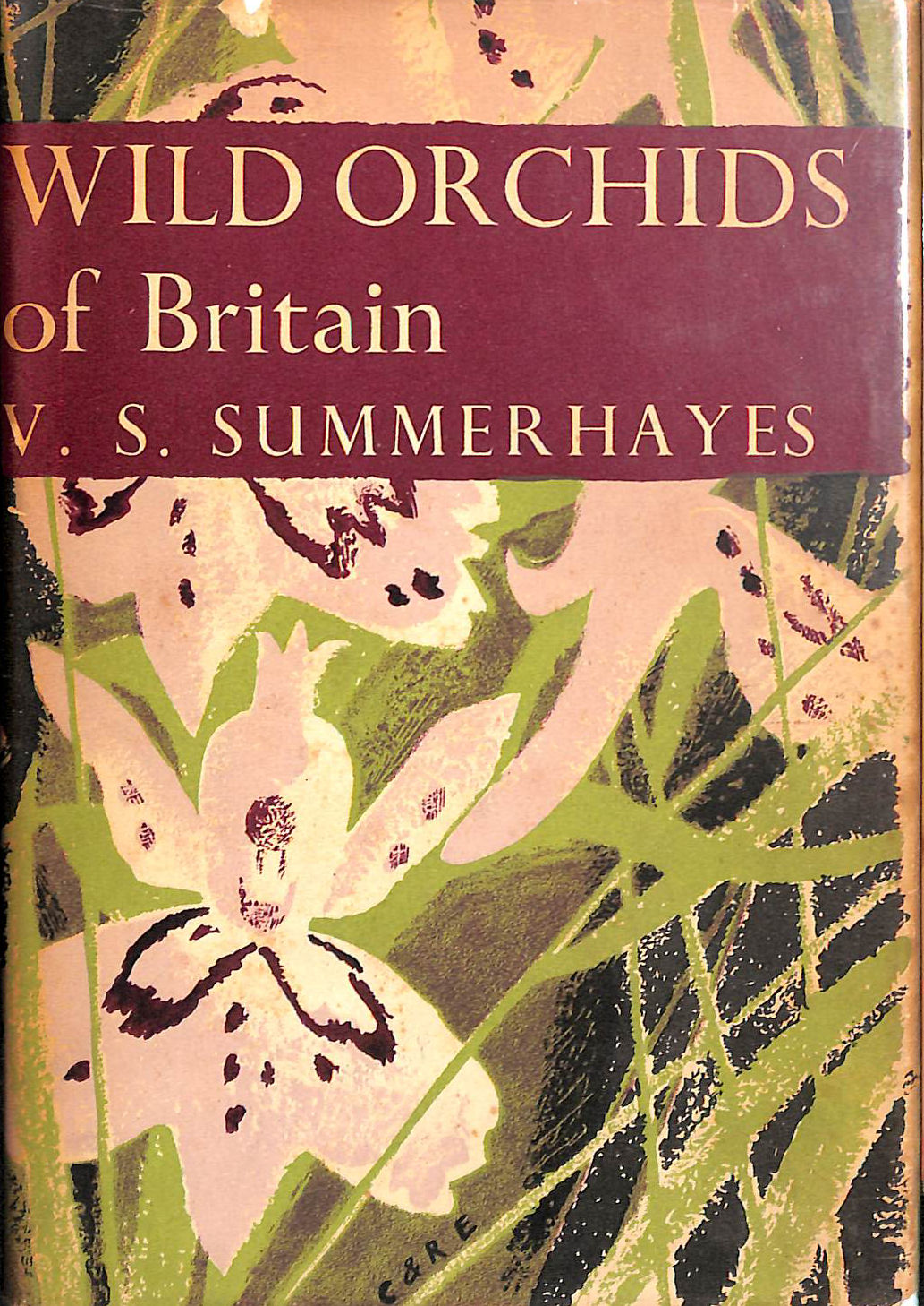 Wild Orchids of Britain, With a key to the Species