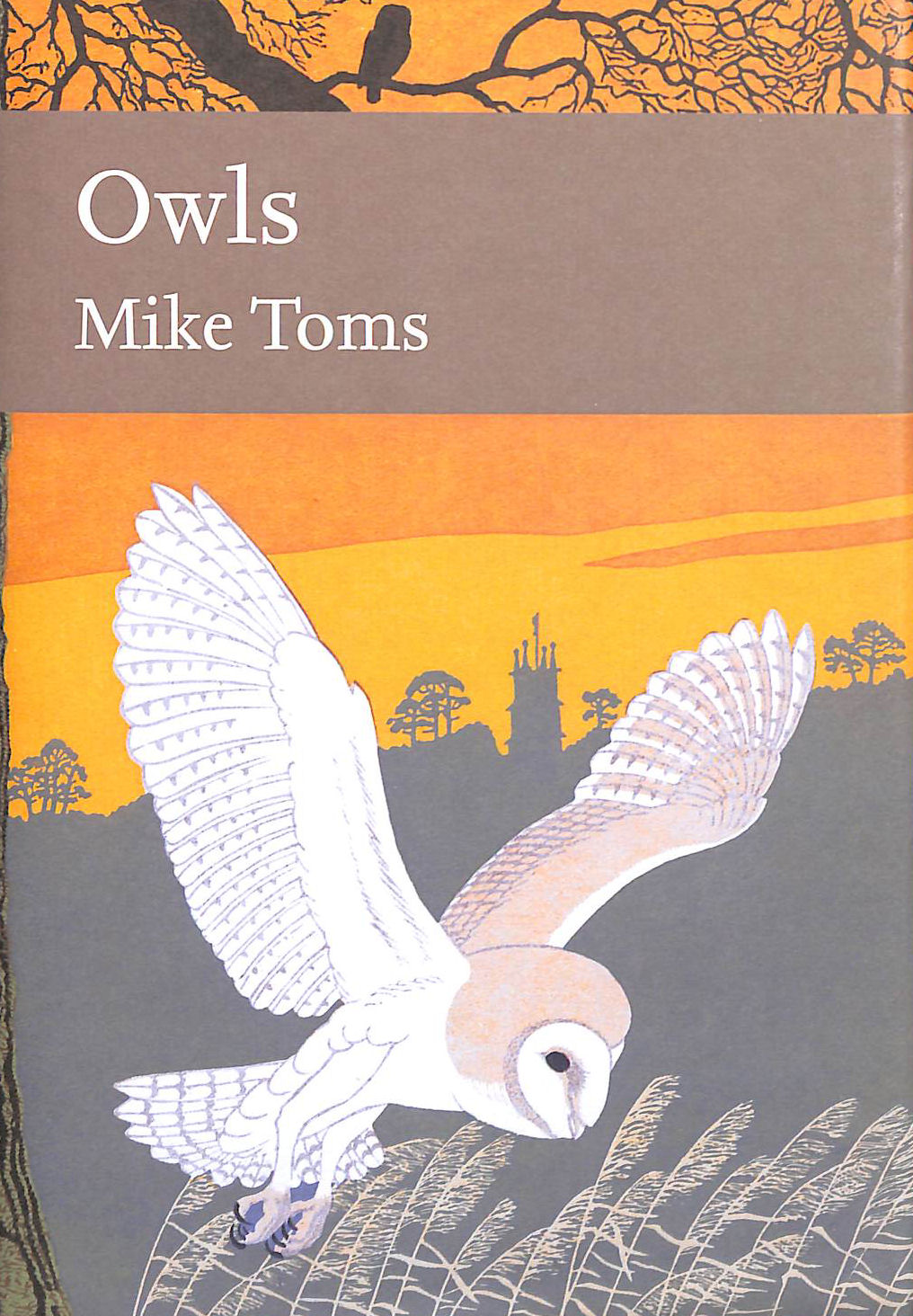Owls (Collins New Naturalist Library)