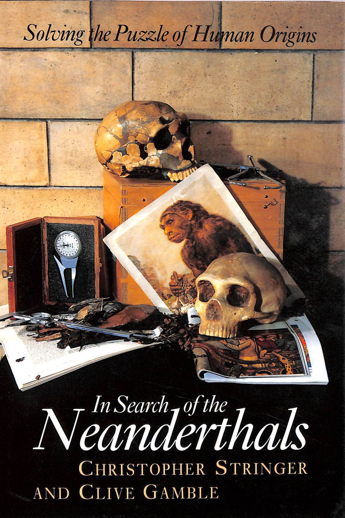 In Search of the Neanderthals: Solving the Puzzle of Human Origins