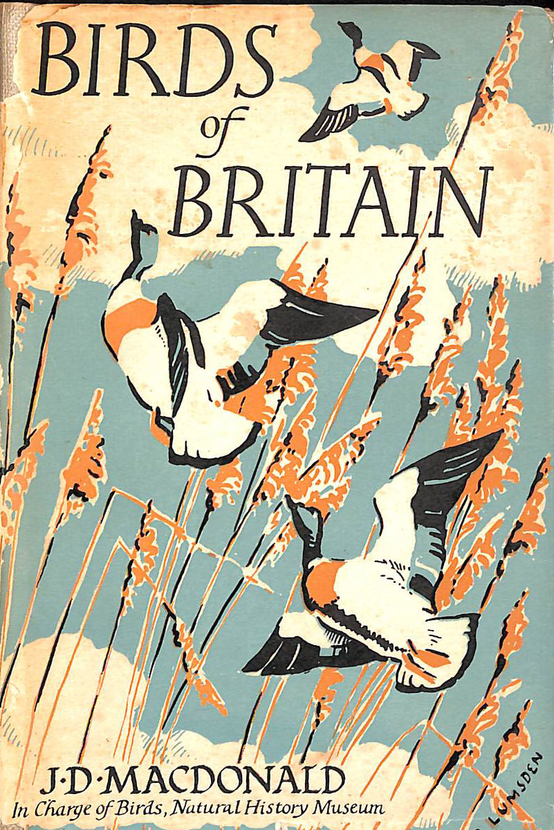 Birds of Britain - a Guide to the Common Species