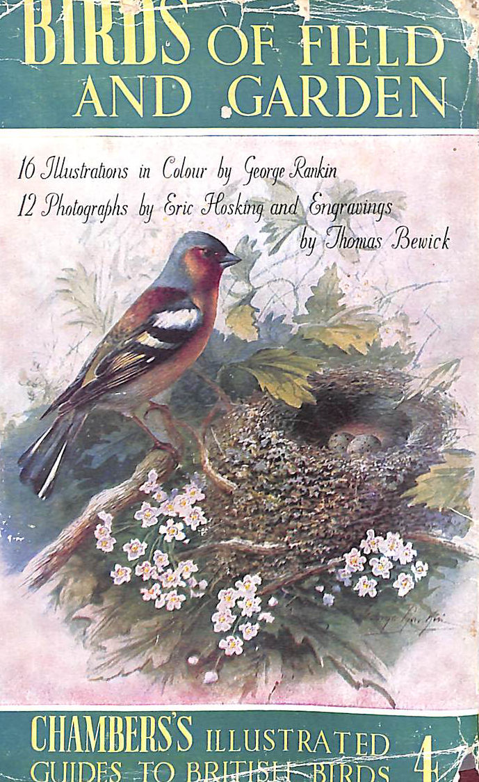 Birds of Field and Garden - A Popular Handbook and Illustrated Guide