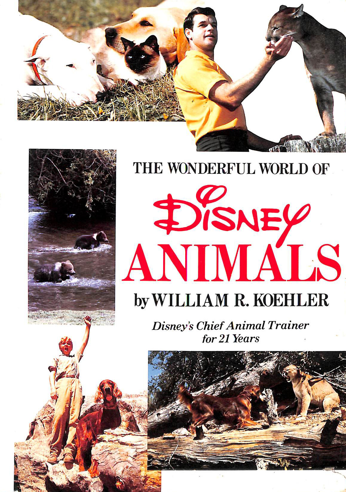 The Wonderful World of Disney Animals