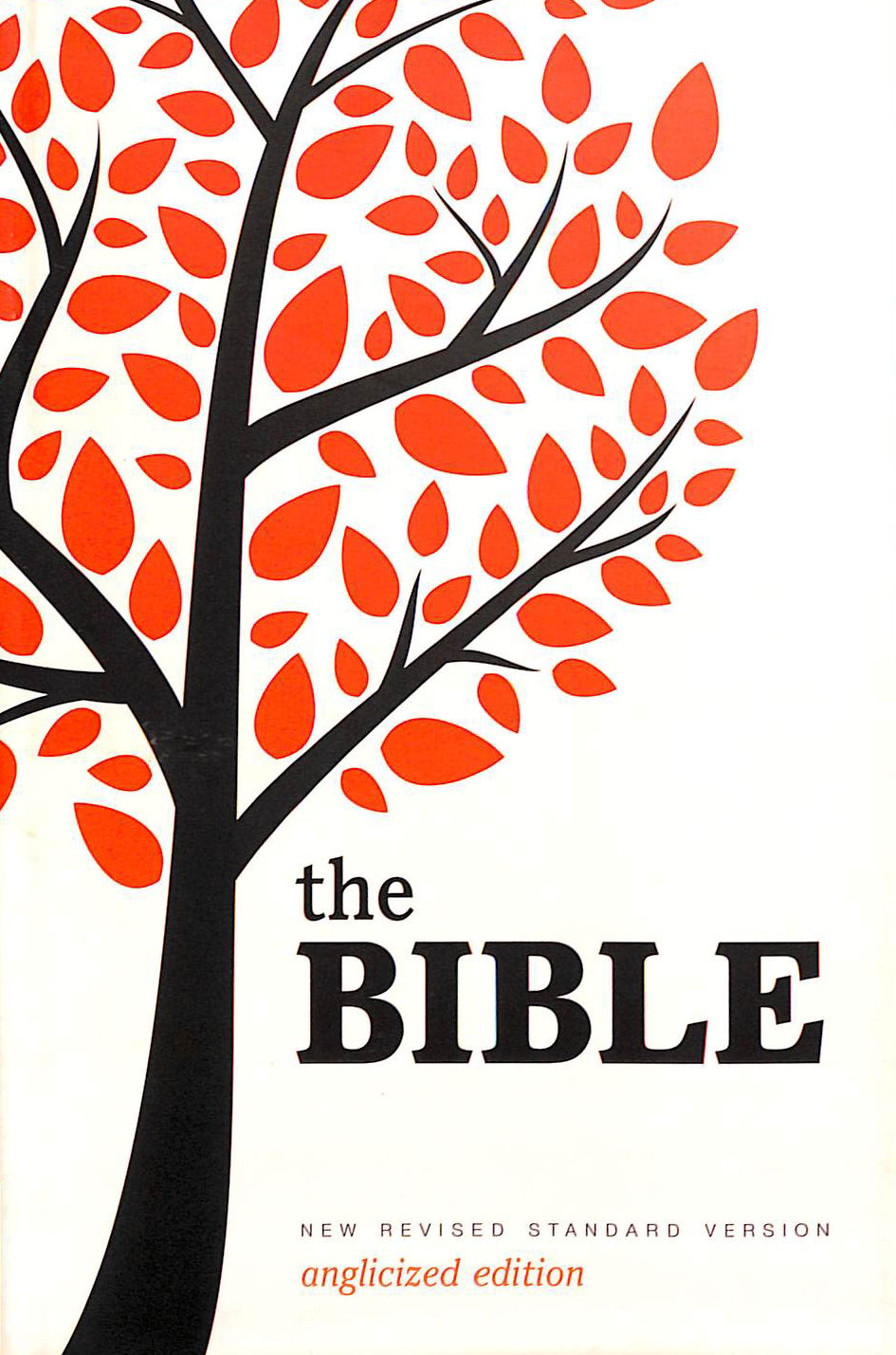 New Revised Standard Version Bible: Popular Text Edition
