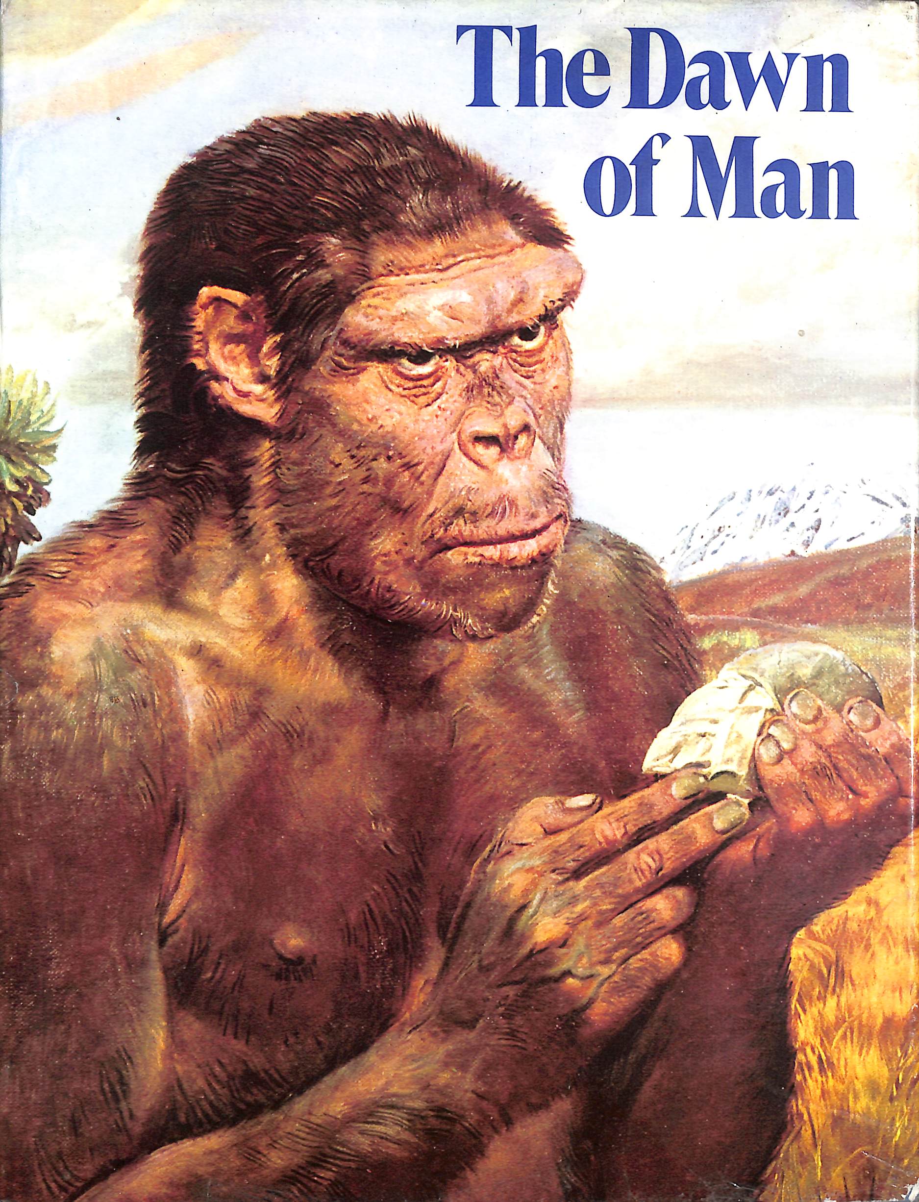Dawn of Man