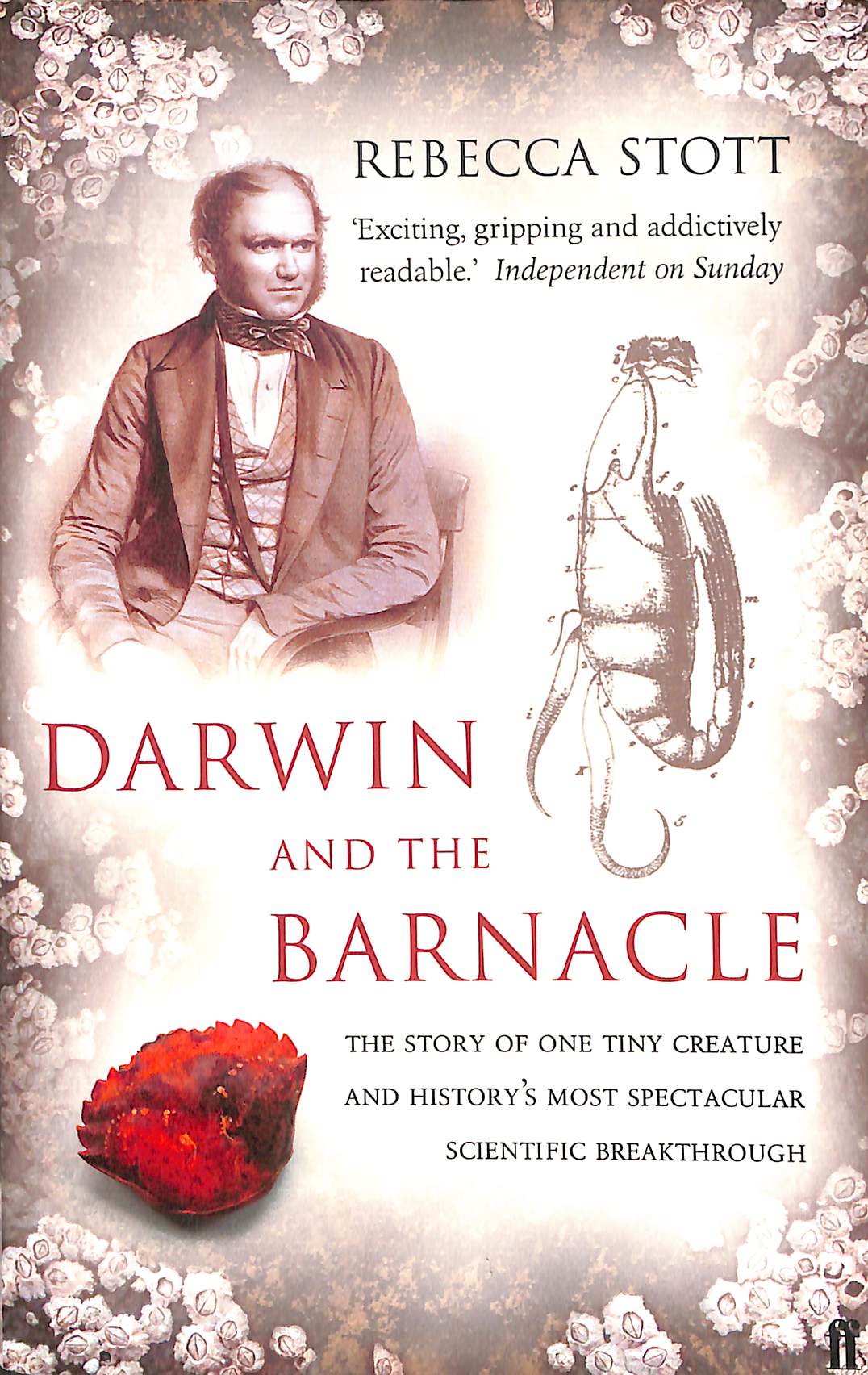 Darwin and the Barnacle