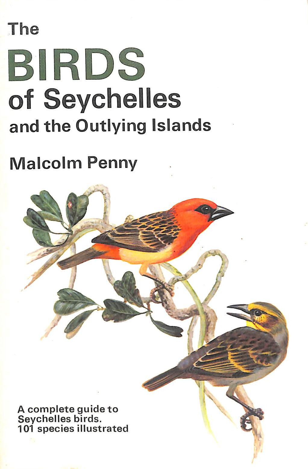 Birds of the Seychelles and the Outlying Islands