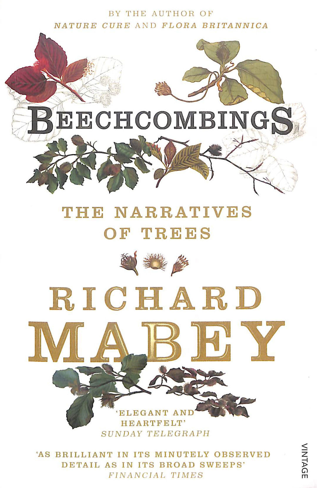 Beechcombings: The narratives of trees