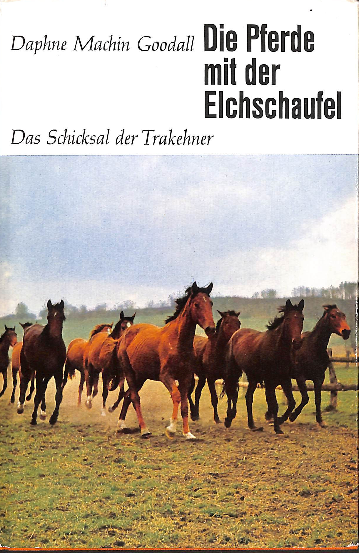 Die Pferde mit der Elchschaufel. Das Schicksal der Trakehner. Mit 30 Fotos auf 23 Tafeln.