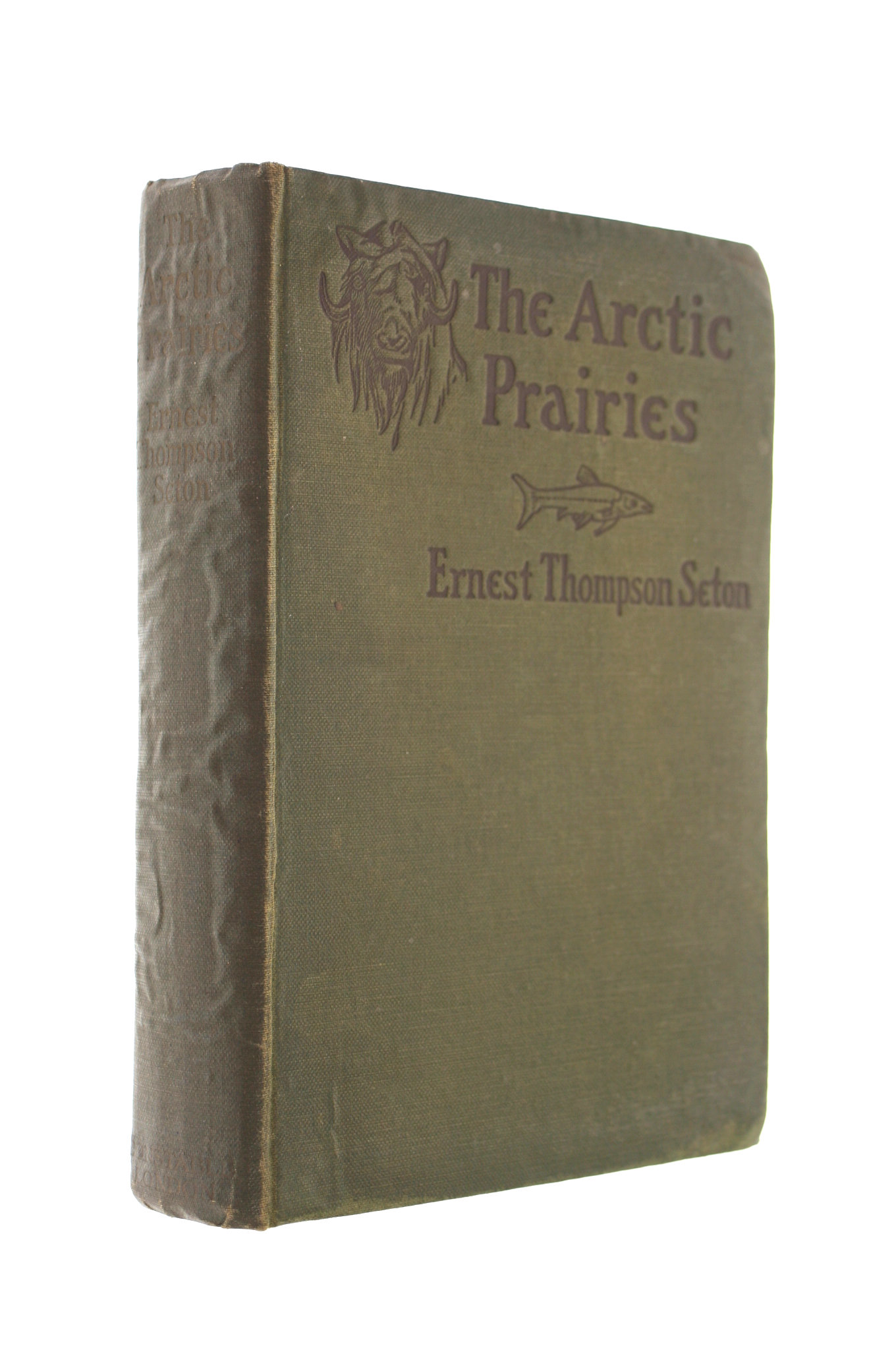 The Arctic Prairies