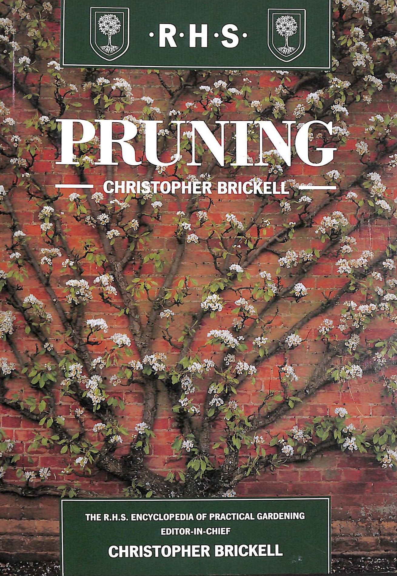 Pruning