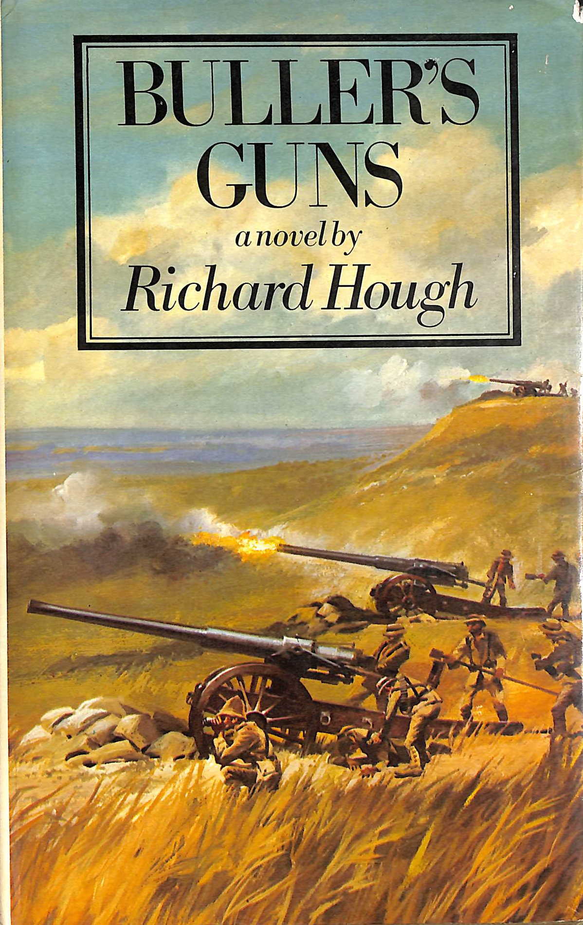 Buller's Guns