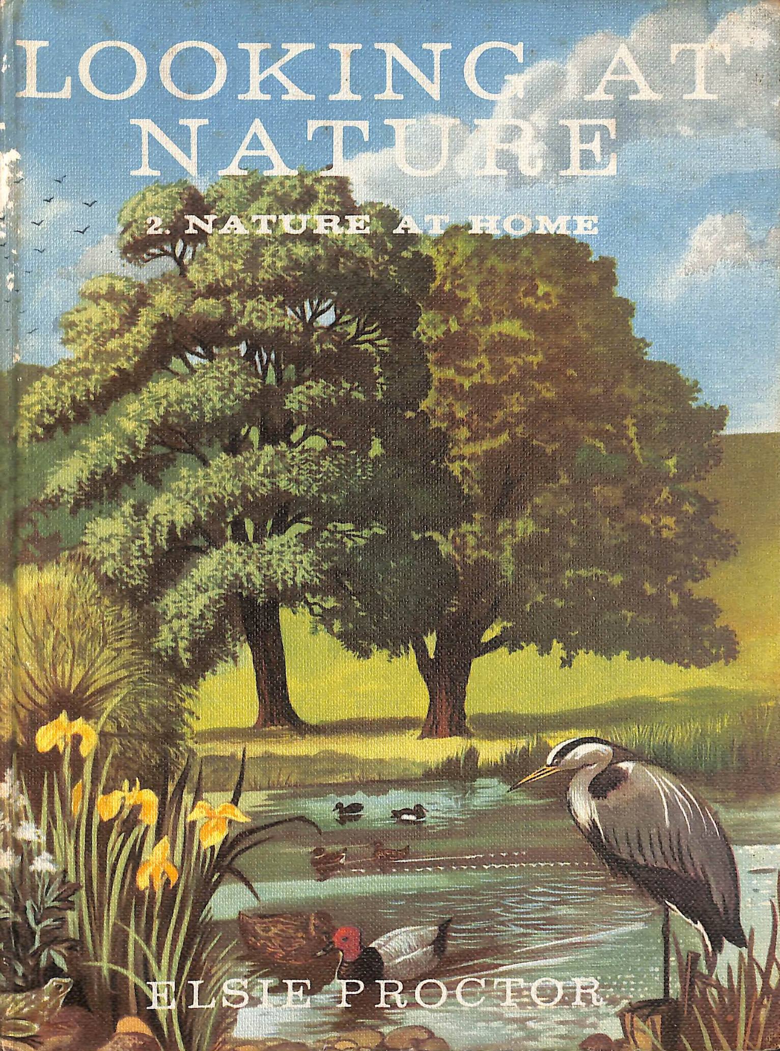 Nature at Home (Looking at Nature Book 2)