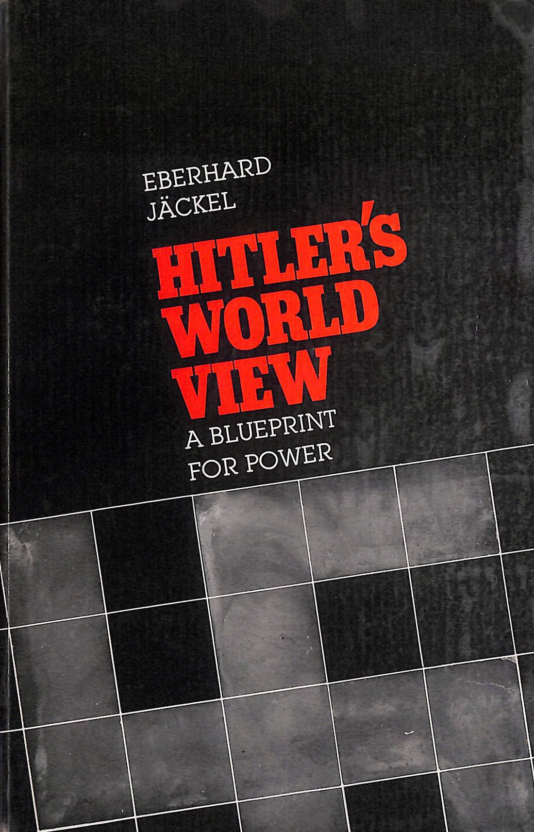Hitlers World View: A Blueprint for Power
