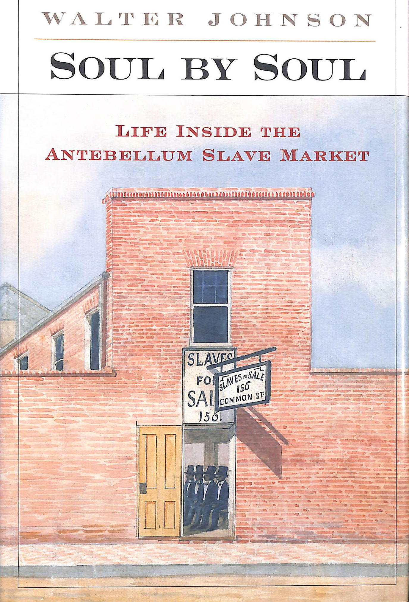 Soul by Soul, Life Inside the Antebellum Slave Market