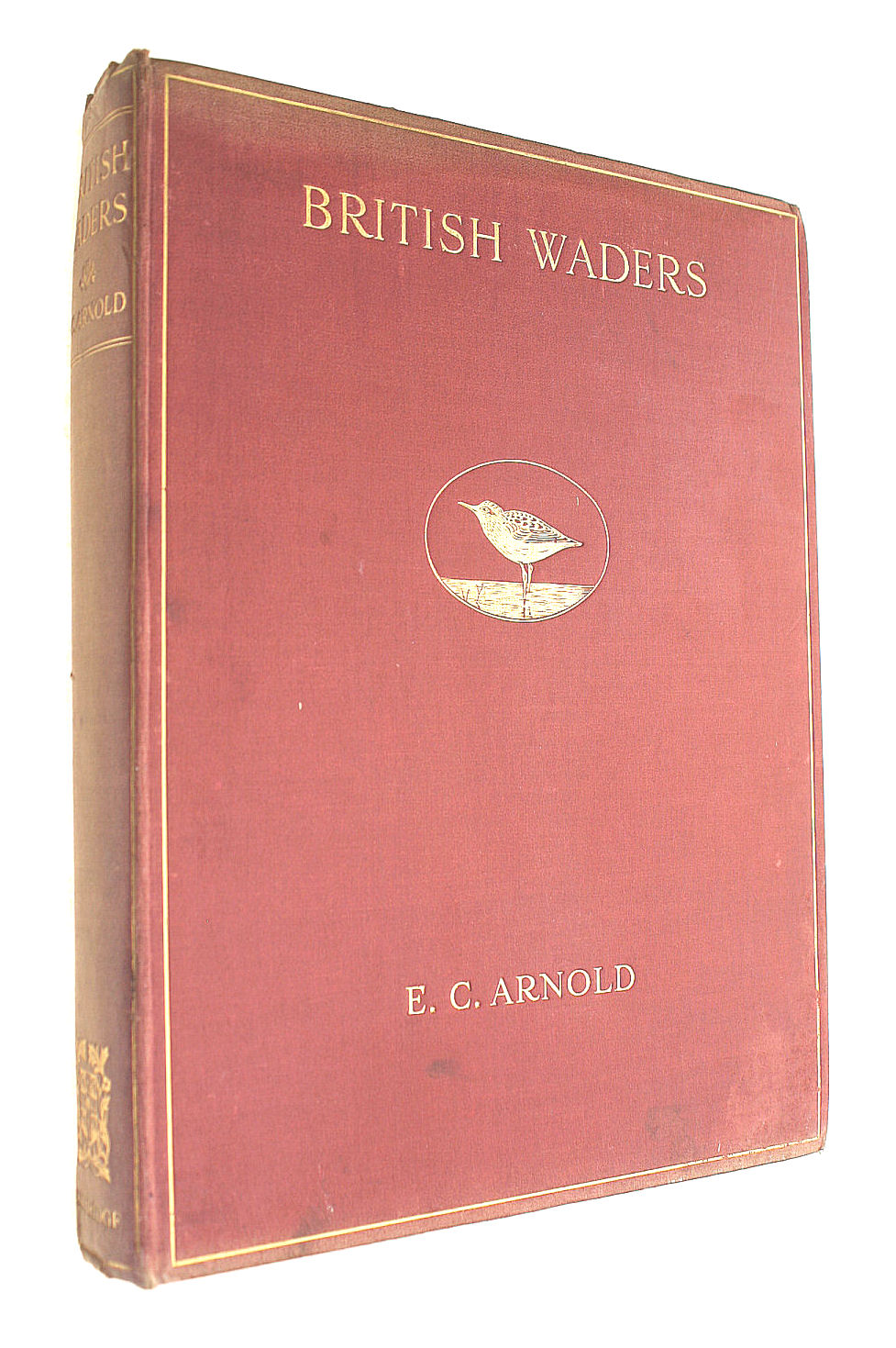 British Waders - Illustrated in colour with descriptive notes