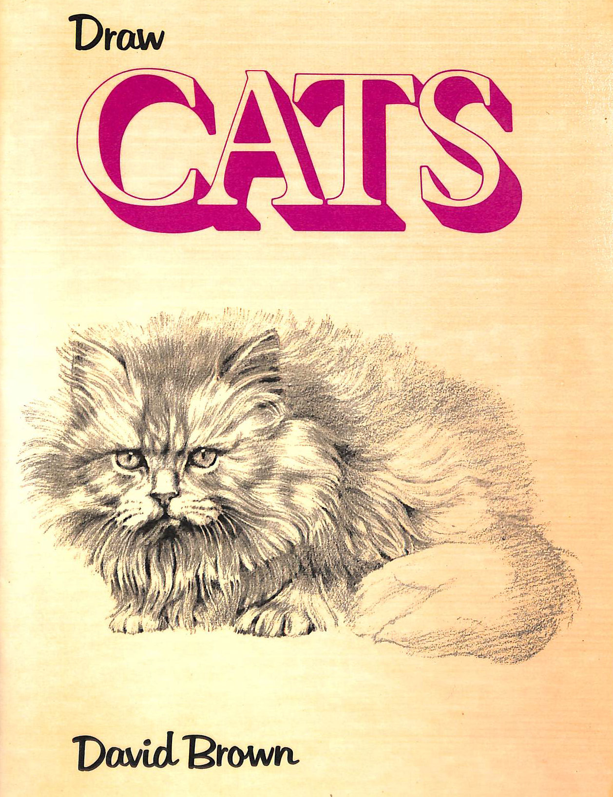 Draw Cats (Draw Books)