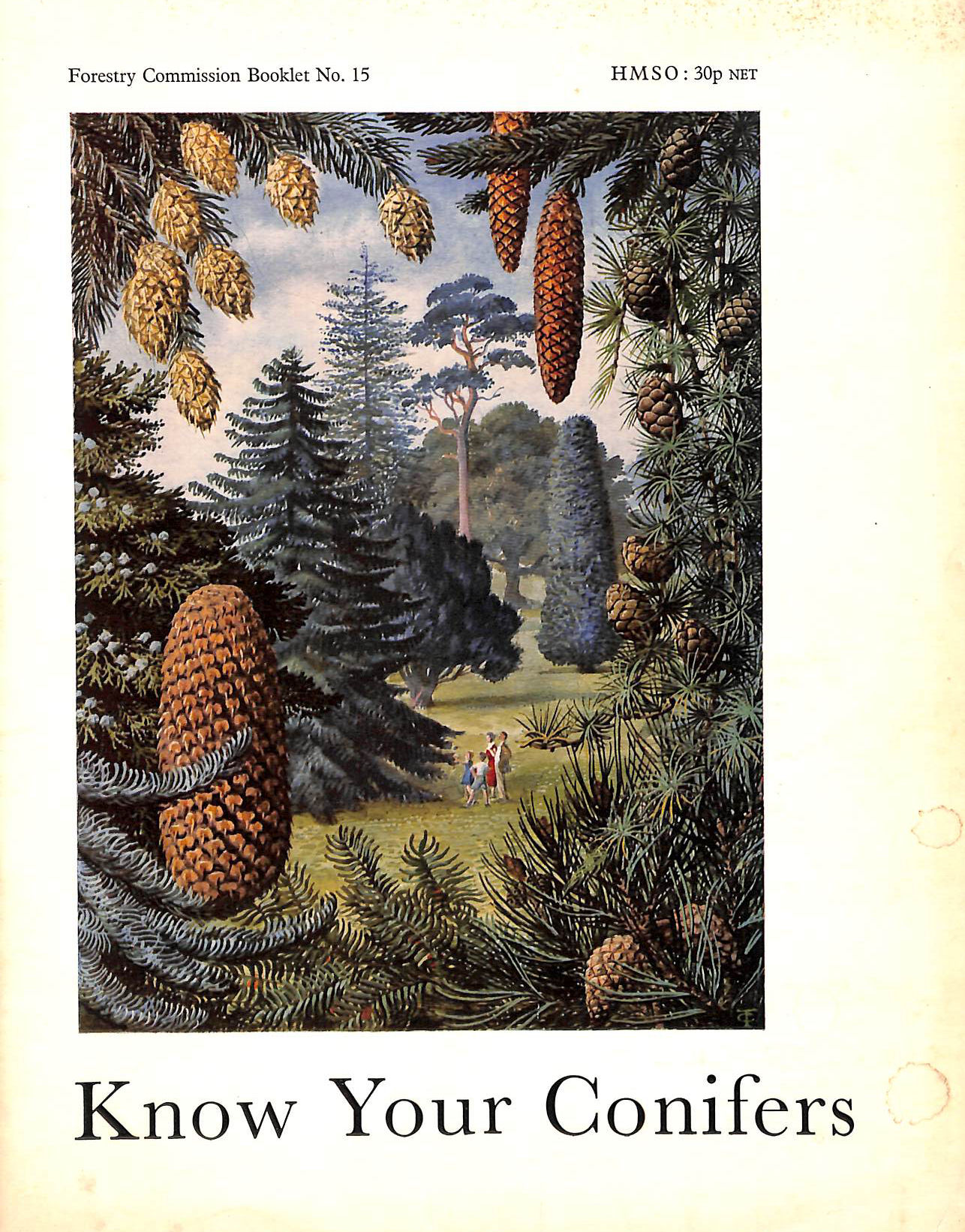 Know Your Conifers: Forestry Commission Booklet No.15