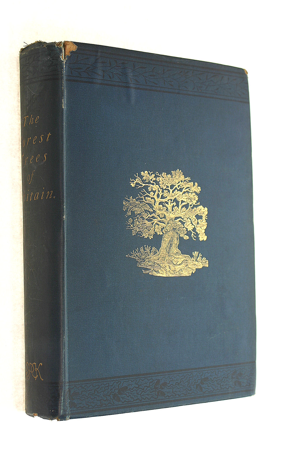 The Forest Trees of Britain